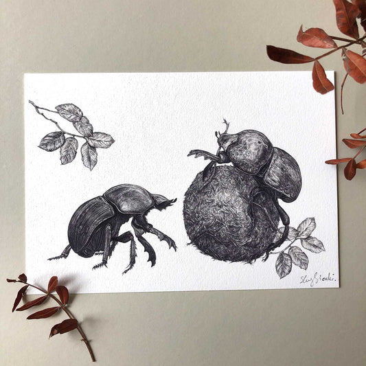 Dung Beetle Print