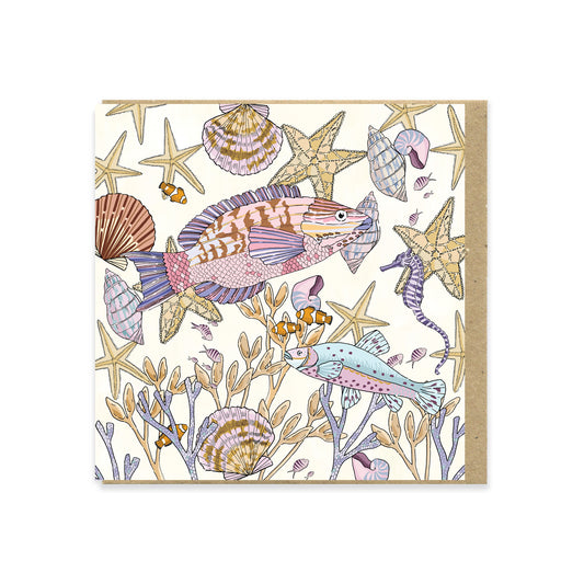 fish swimming with coral card