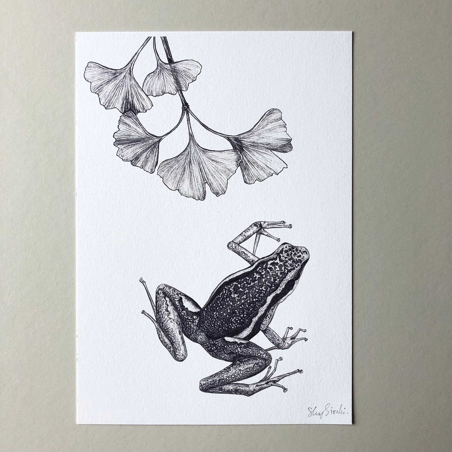 Poison Dart Frog Print