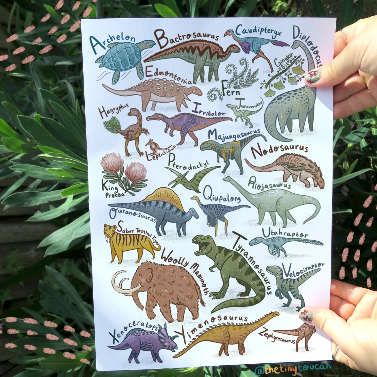 Dinosaurs Alphabet A4 Print