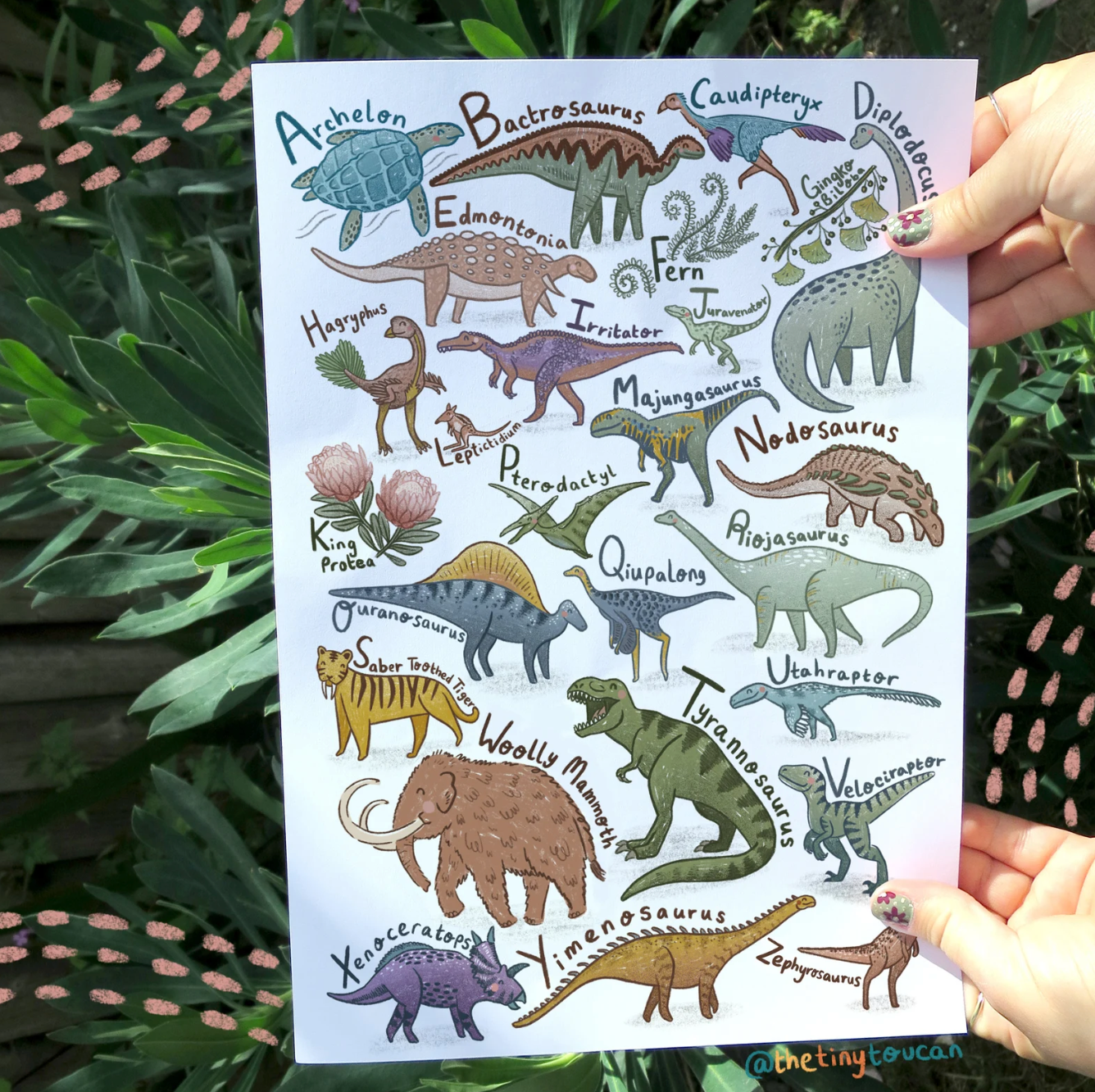FRAMED Dinosaurs Alphabet A4 Print