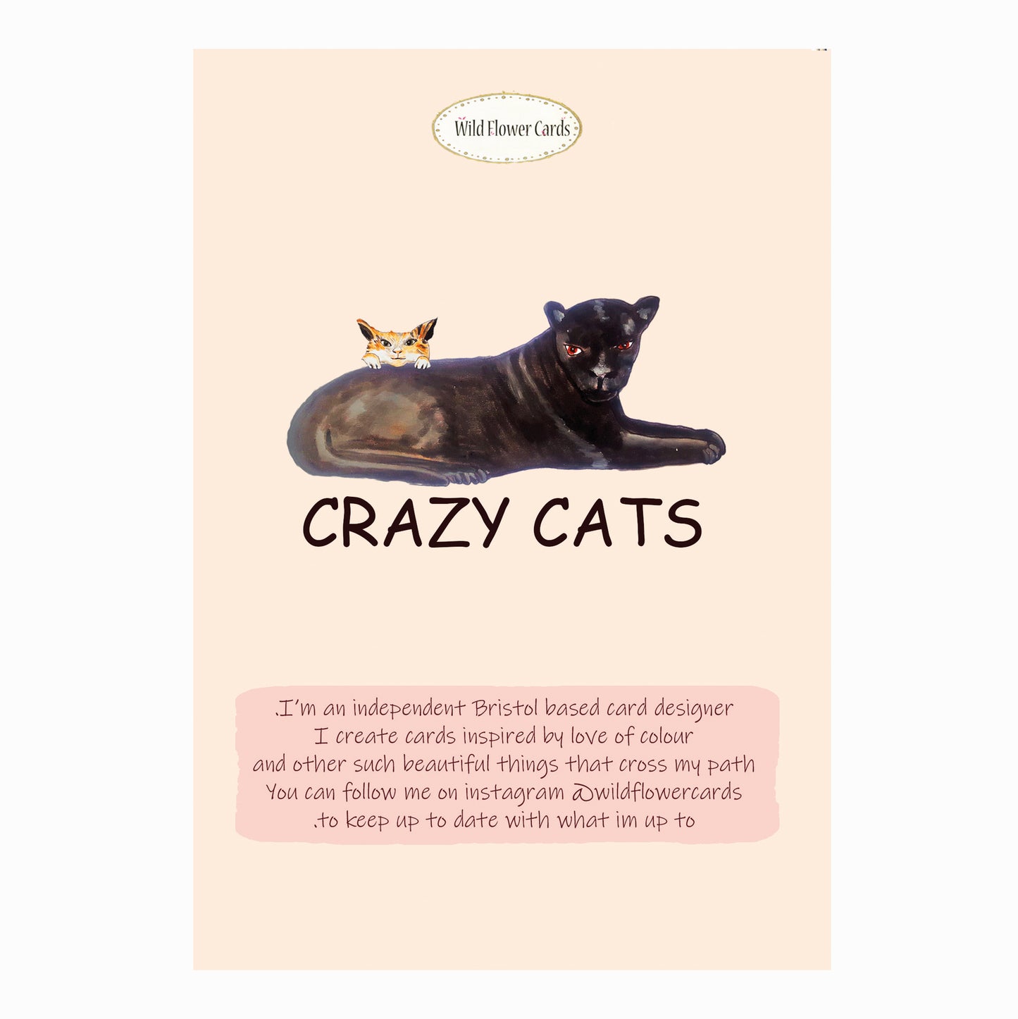 Crazy Cats Card