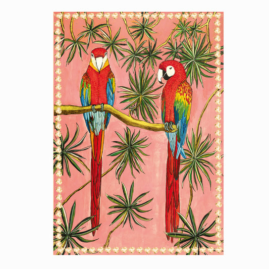 parrots and plants with pink background 