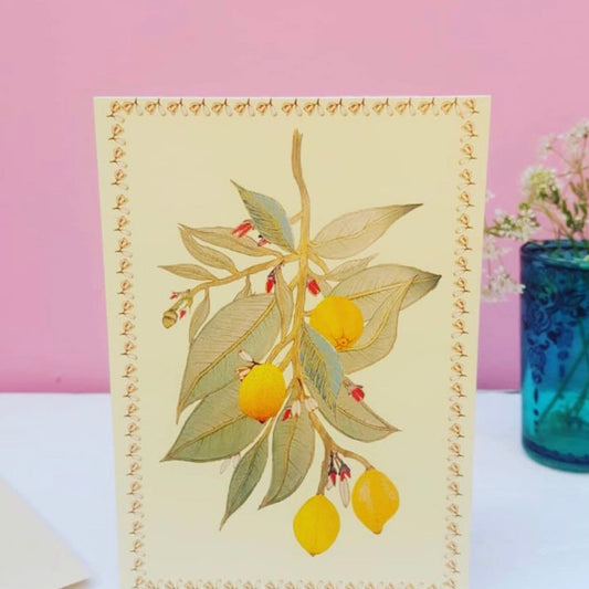 Botanical Lemons Print