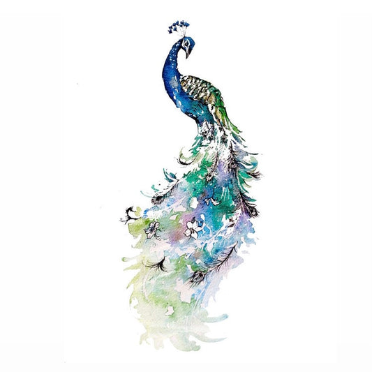 Peacock A3 Print